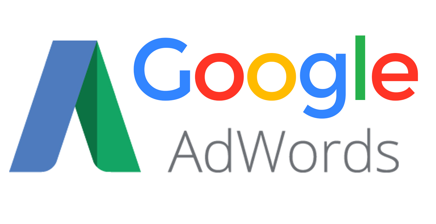 Web Corporativa + Campaña Google Adword