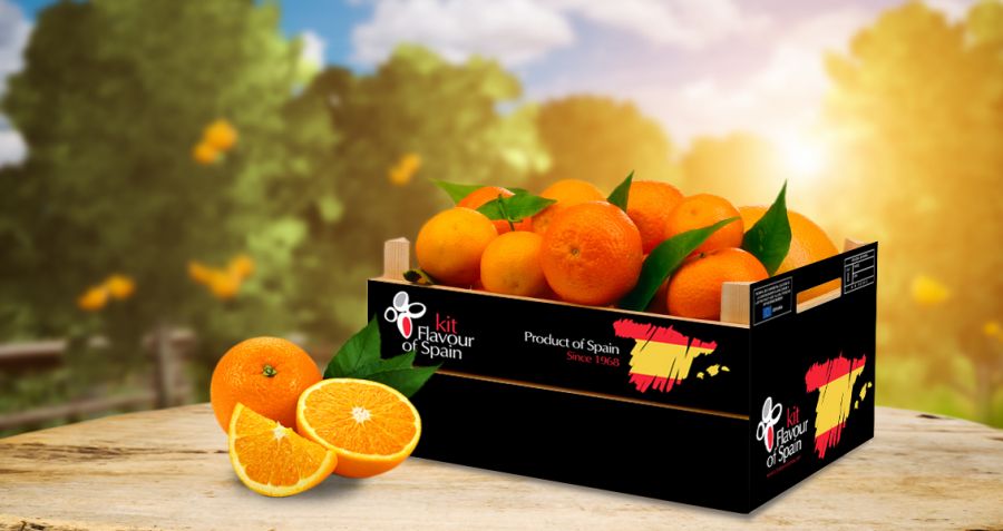 Diseño Packaging Naranjas González Climent