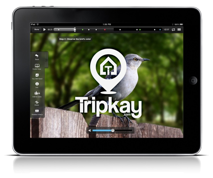 Logotipo diseñado para la empresa Tripkay